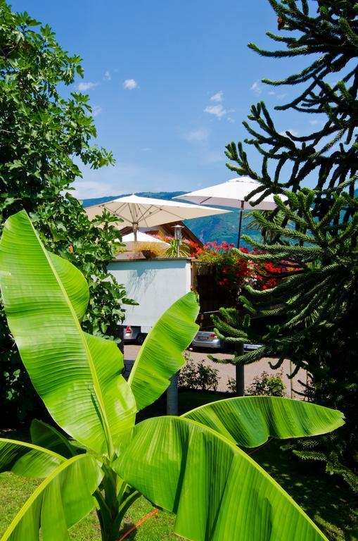 Hotel & Residenz Traubenheim นาลเลส ภายนอก รูปภาพ